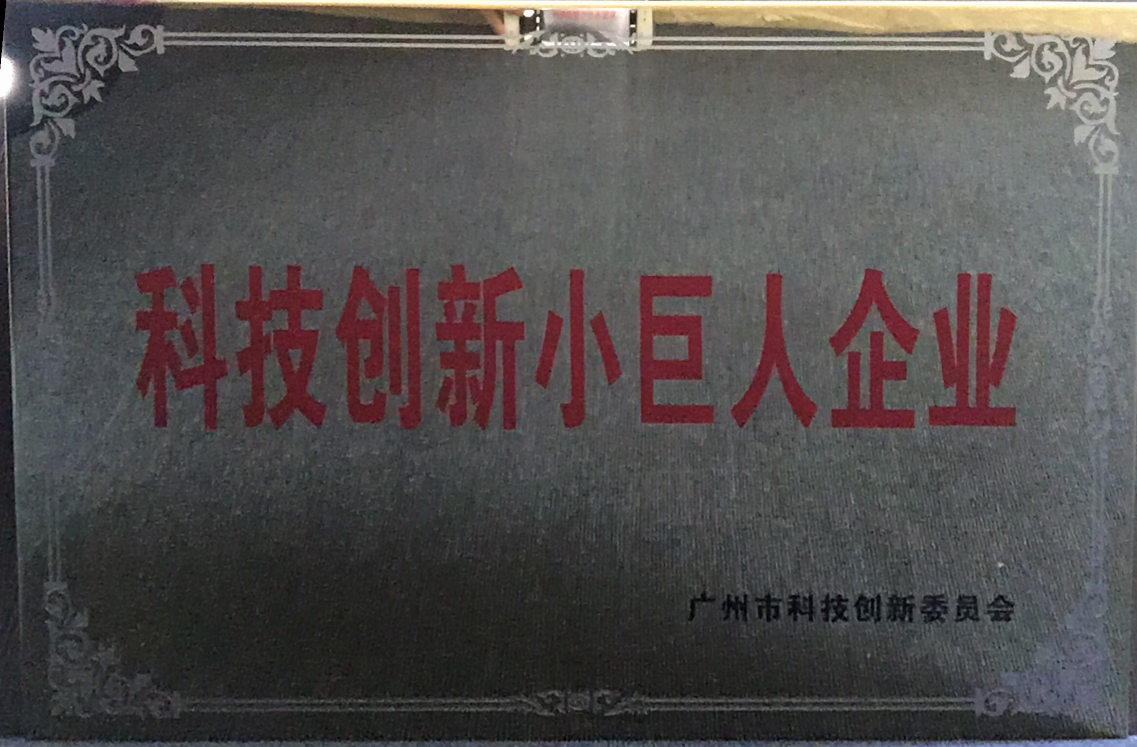 广州市科技创新小巨人企业,广州丰捷企业管理服务有限公司